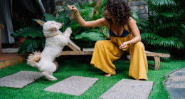 How To Meet Single Men